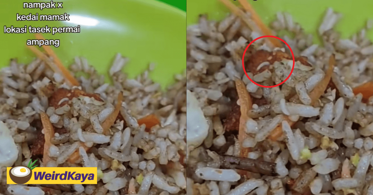 M'sian Woman Disgusted To Find Maggots Inside Fried Rice At Famous Ampang Eatery