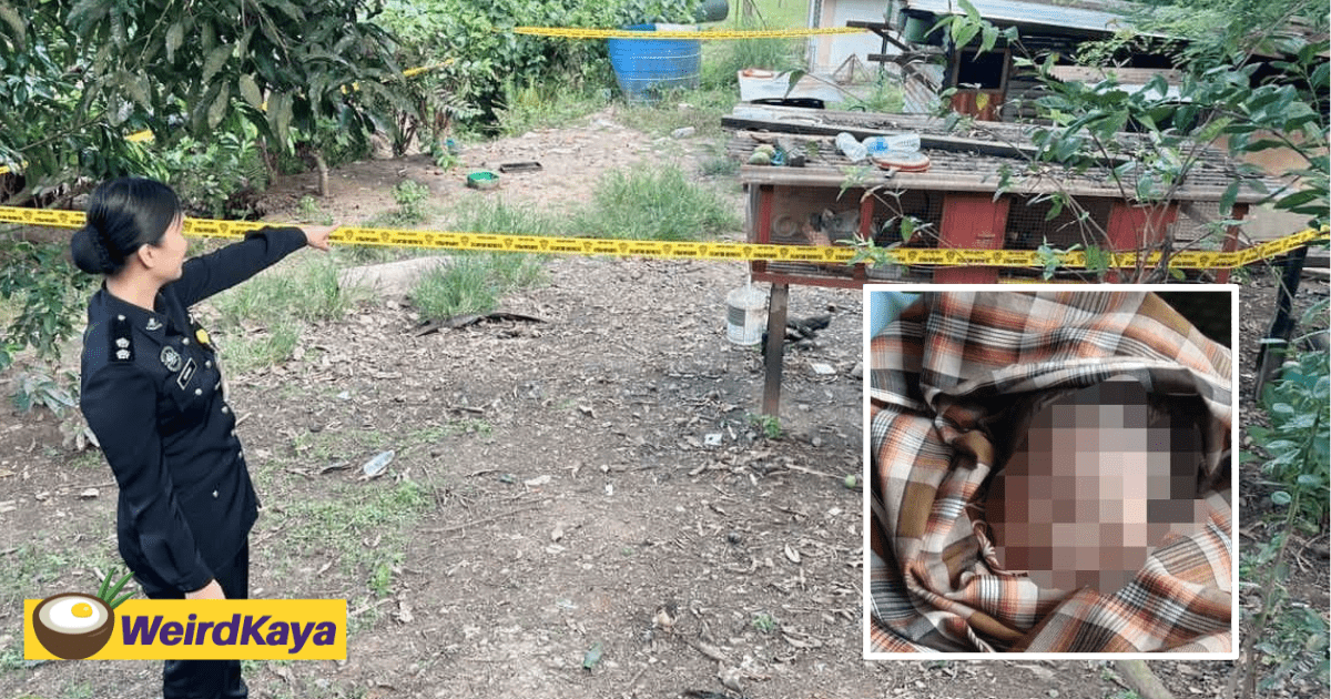 Newborn Baby Boy Found Abandoned On Top Of Chicken Coop In Sabah