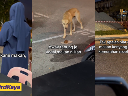 M'sian Woman Praised For Feeding Fried Chicken To Hungry Stray Dog