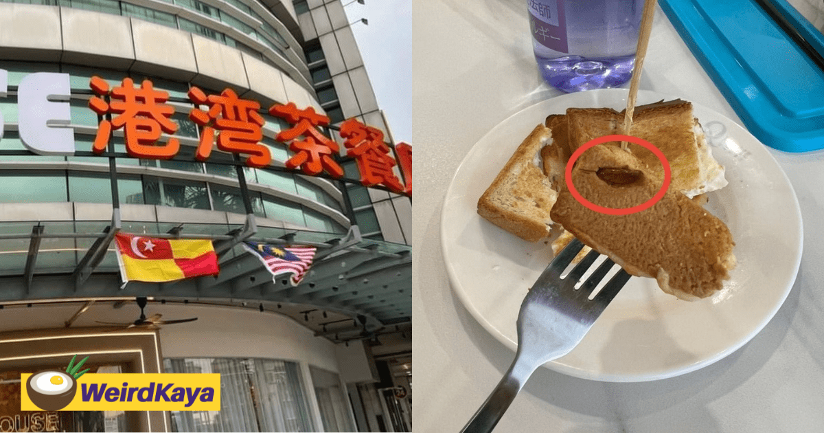 M'sian Man Shocked To Find Dead Cockroach Inside Toasted Bread At Puchong Eatery