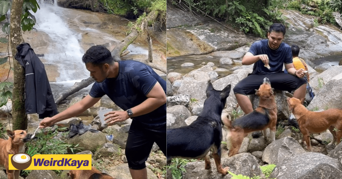Khairul Aming Praised For Feeding Stray Dogs Who Accompanied Him On Hiking Trip