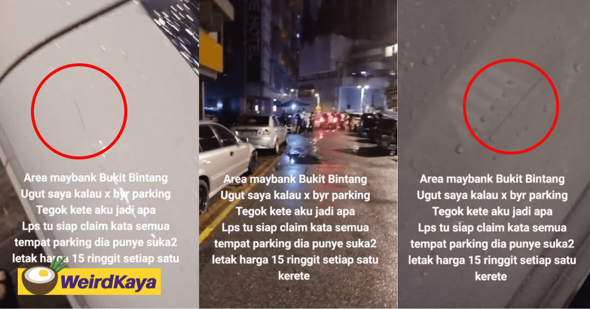 M'sian Woman Has Car Scratched After She Refused To Pay RM15 To 'Parking Worms'