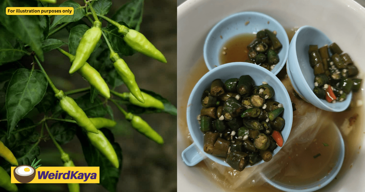 'This Is Too Much!' - M'sian Slams Customer Who Wasted 3 Servings Of Chili He Made Himself