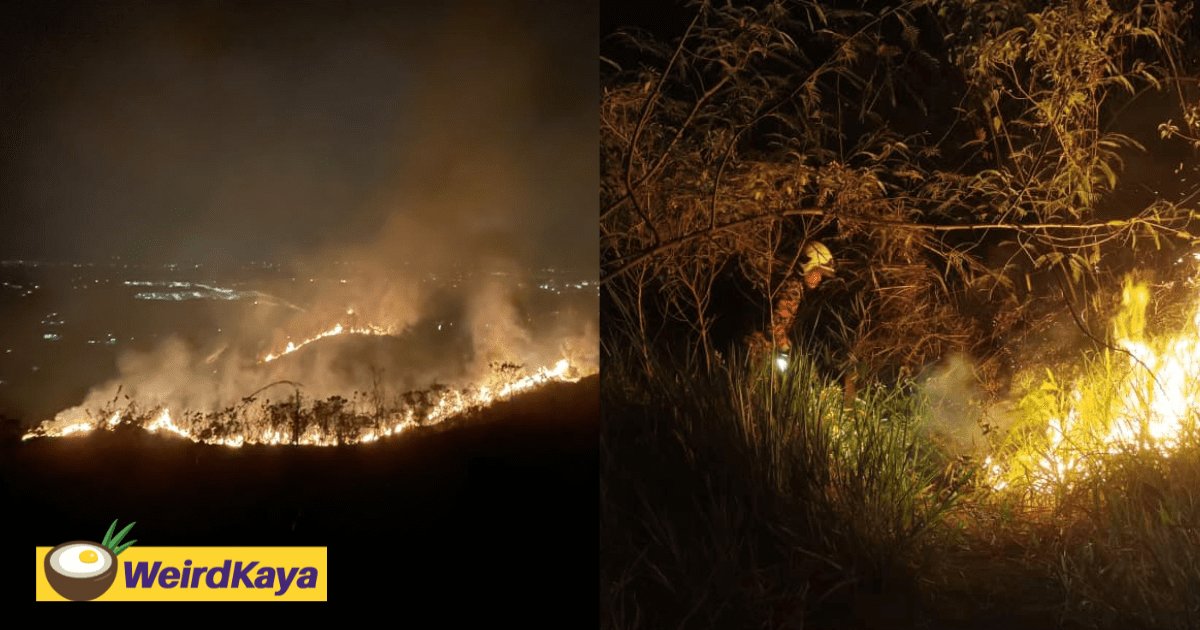 Broga Hill Caught Fire Last Night, But Bomba's Timely Rescue Turned the Tide