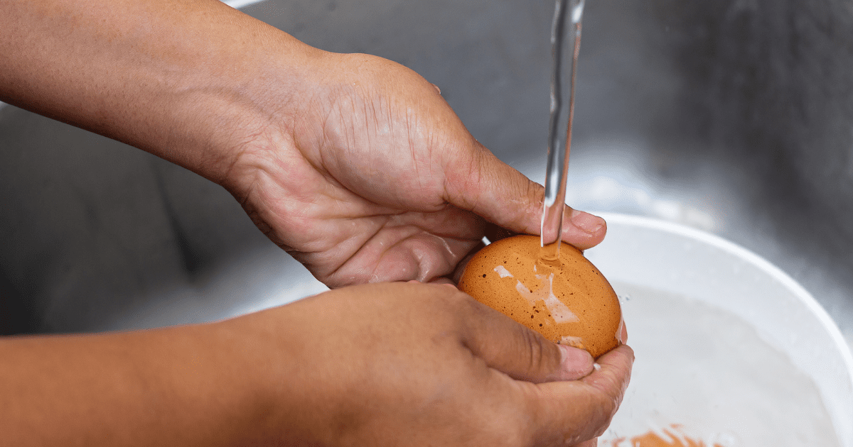 washing egg under water