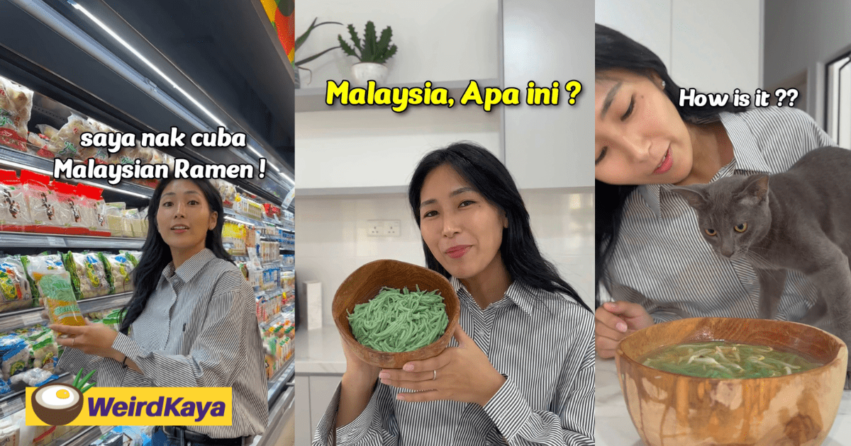 Japanese Woman Tries Making Ramen, Accidentally Invents 'Cendol Soup'
