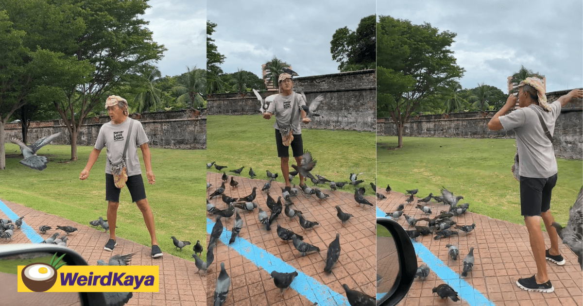 This Penang Uncle Left Us Stunned By His Un-Bird-Lievable Pigeon Summoning Skills