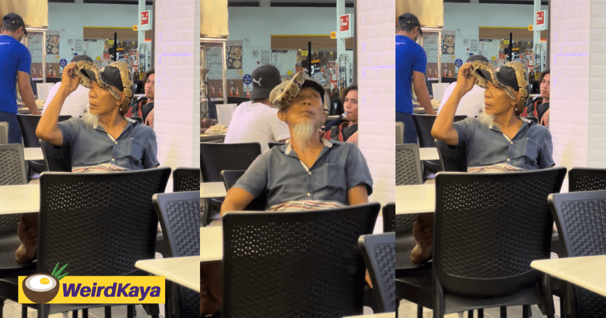 M'sian Uncle Casually Sits With Snake On His Head Leaves Netizens In Stitches