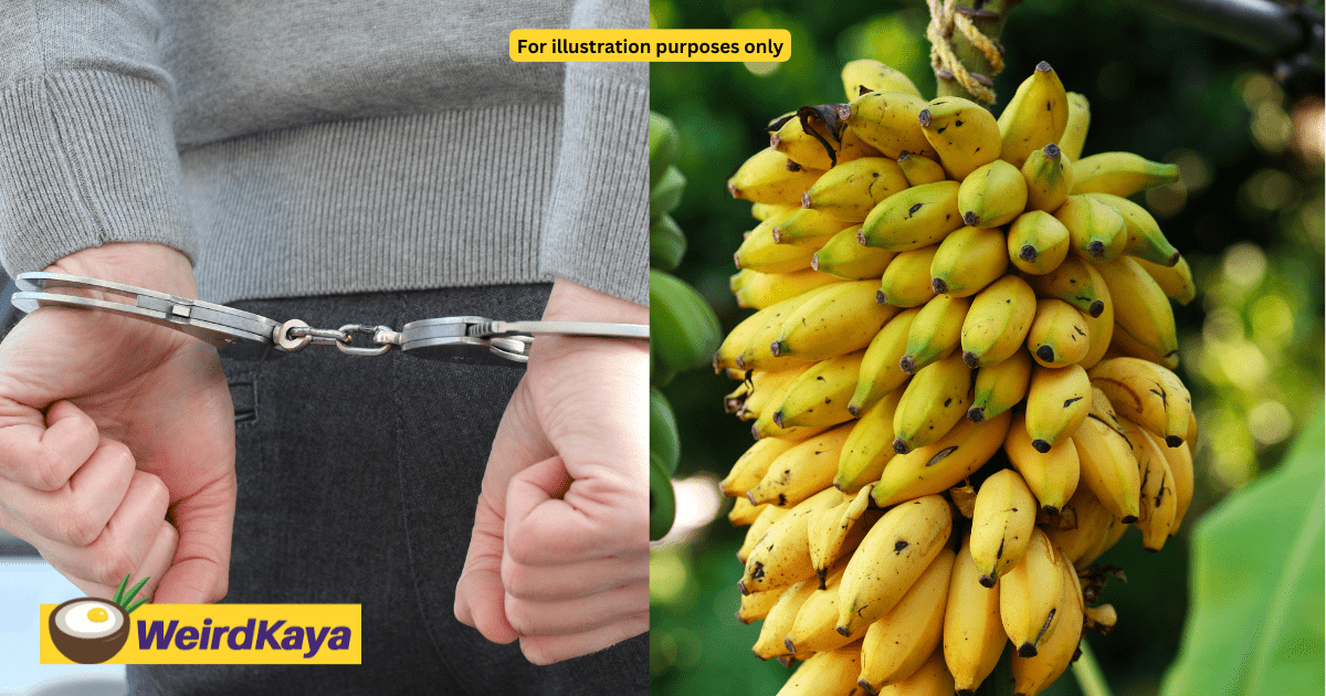 M'sian Father Of 3 Caught Stealing Bananas, Gets Jailed For 3 Months
