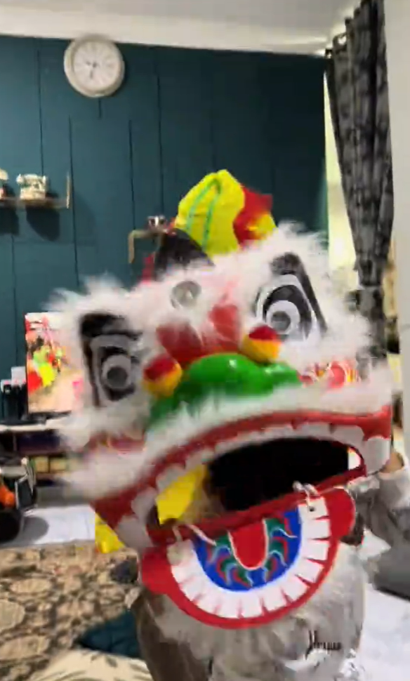 Lion dance performance in house Screenshot 2025-01-08 164351 (1)