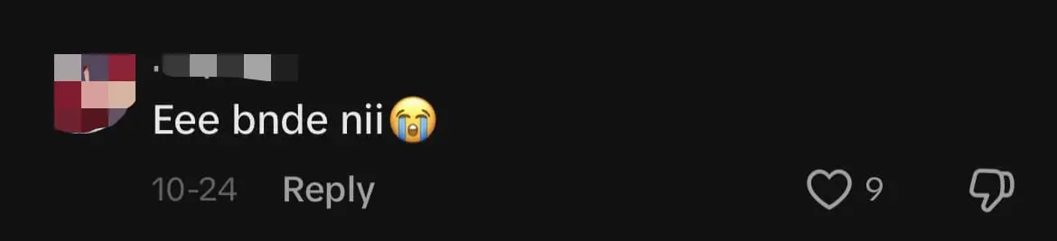 Viral Ice Cream Fried Chicken Burger Sold In KL Draws Mixed Reactions From Netizens comment 1