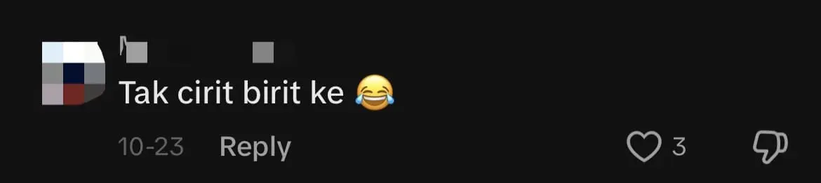 Viral Ice Cream Fried Chicken Burger Sold In KL Draws Mixed Reactions From Netizens comment 3