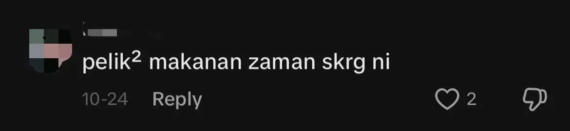 Viral Ice Cream Fried Chicken Burger Sold In KL Draws Mixed Reactions From Netizens comment 2