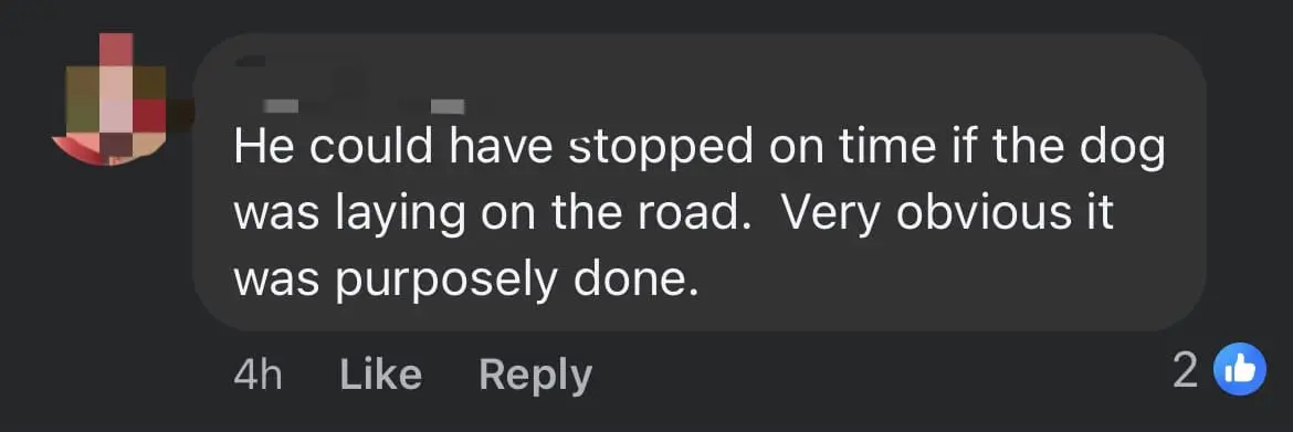 Courier Van Runs Over Sleeping Dog In S'gor, Company Says It Was An 'Accident' comment 2