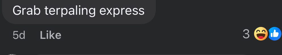 msian man accidentally orders food from singapore comment1