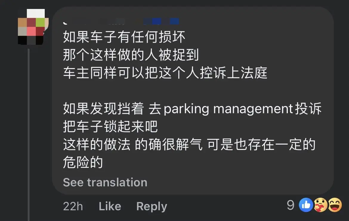 Trolley Seen Placed On Top Of SUV Which Parked At Non-Parking Spot At Johor Mall comment 3