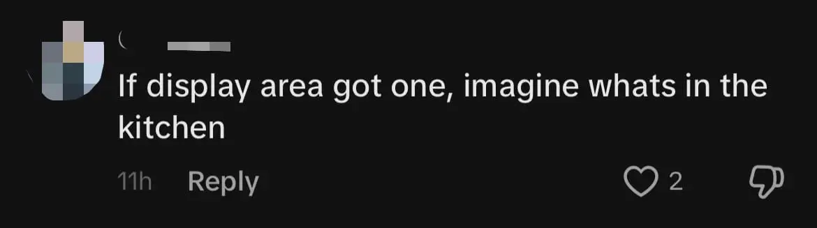 Roach Scuttles Around Pastry At Setia Alam Bakery, Disgusts Netizens comment 2