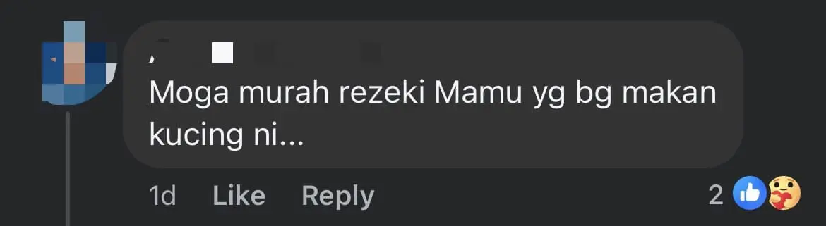 M'sian Man Spends RM2K A Year Feeding Stray Cats Fried Chicken, Wins Online Praise comment 1