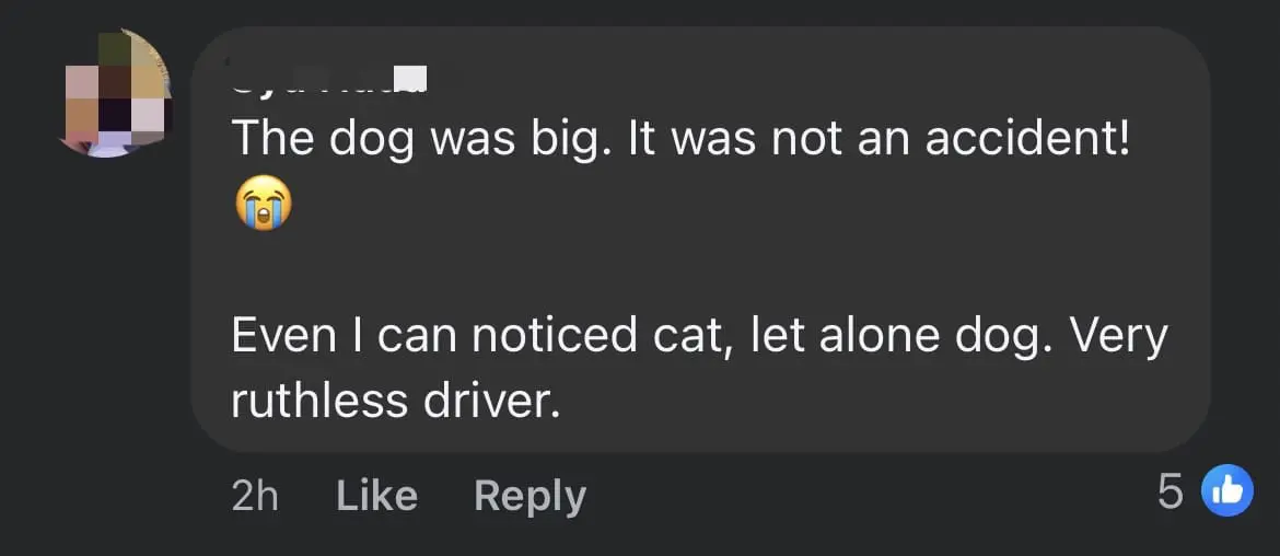 Courier Van Runs Over Sleeping Dog In S'gor, Company Says It Was An 'Accident' comment 1