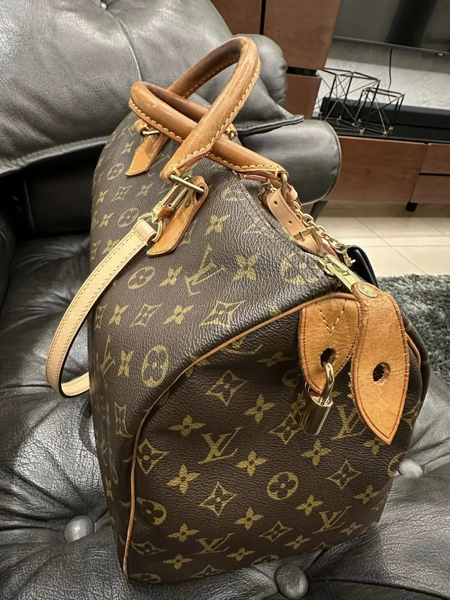 LV carry bag