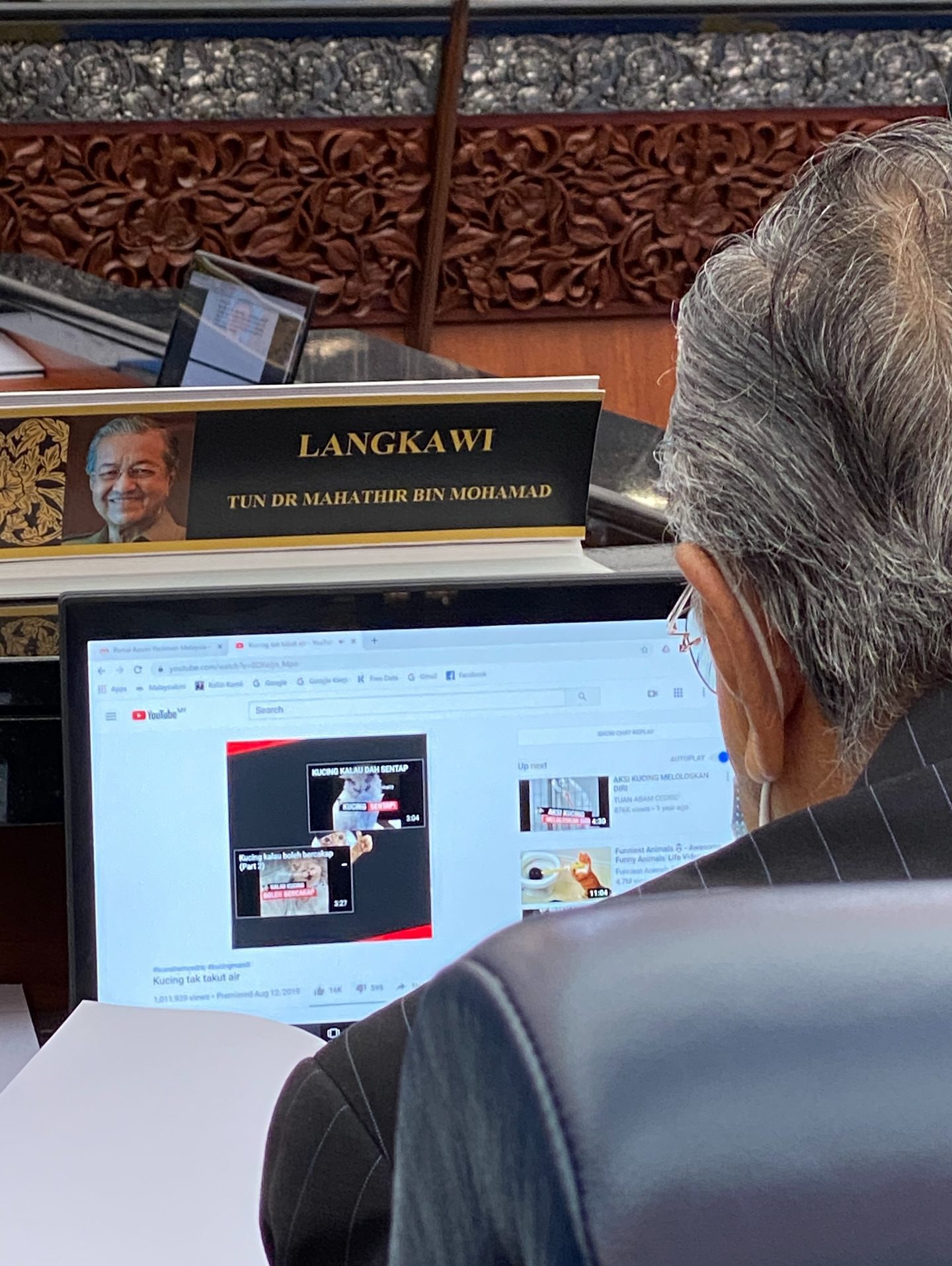 Mahathir watching cat