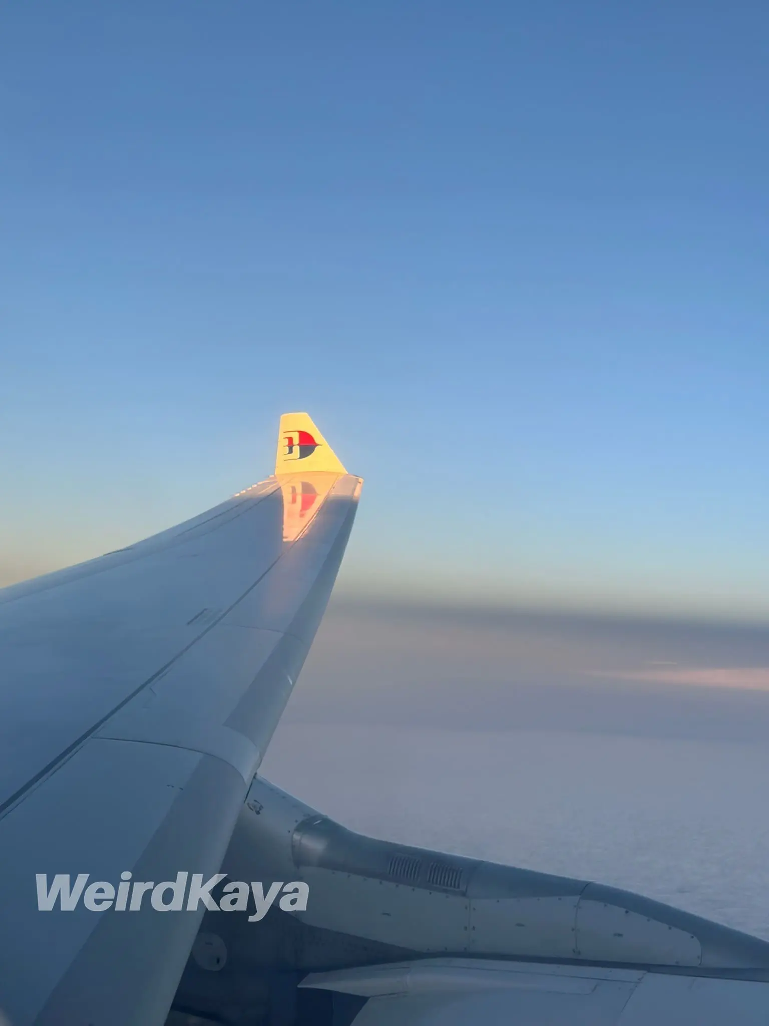 Malaysia Airline plane