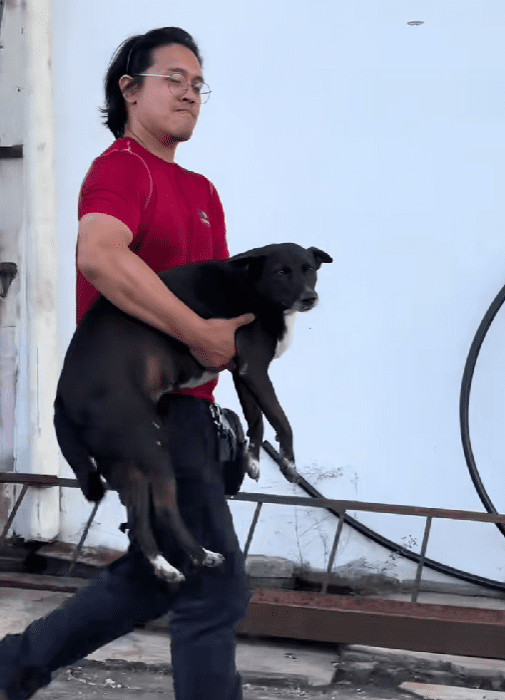 man carrying a dog