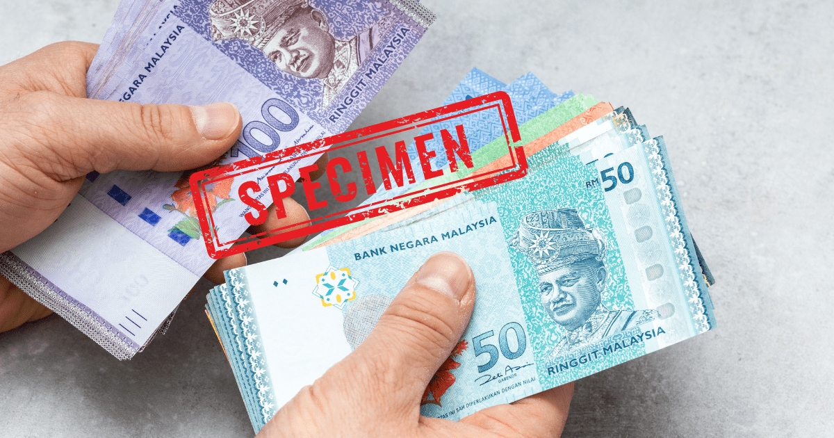 man counting money (3)