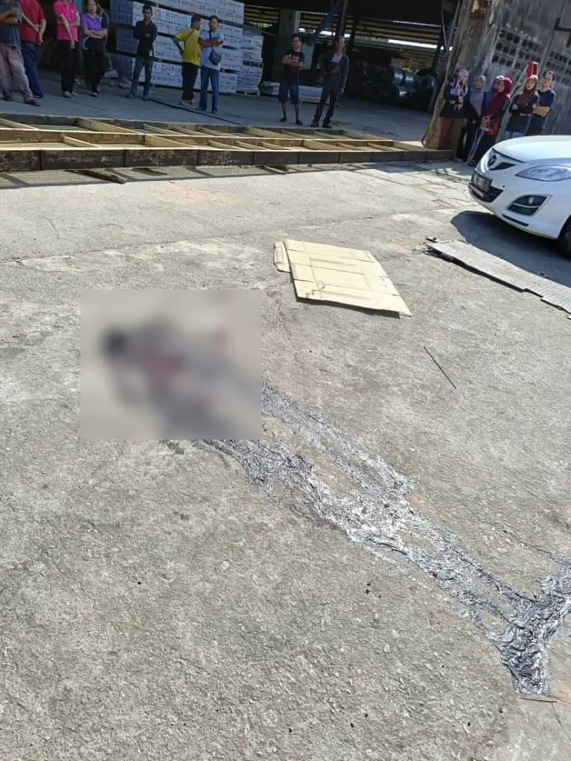 M'sian man crushed to death by iron gate