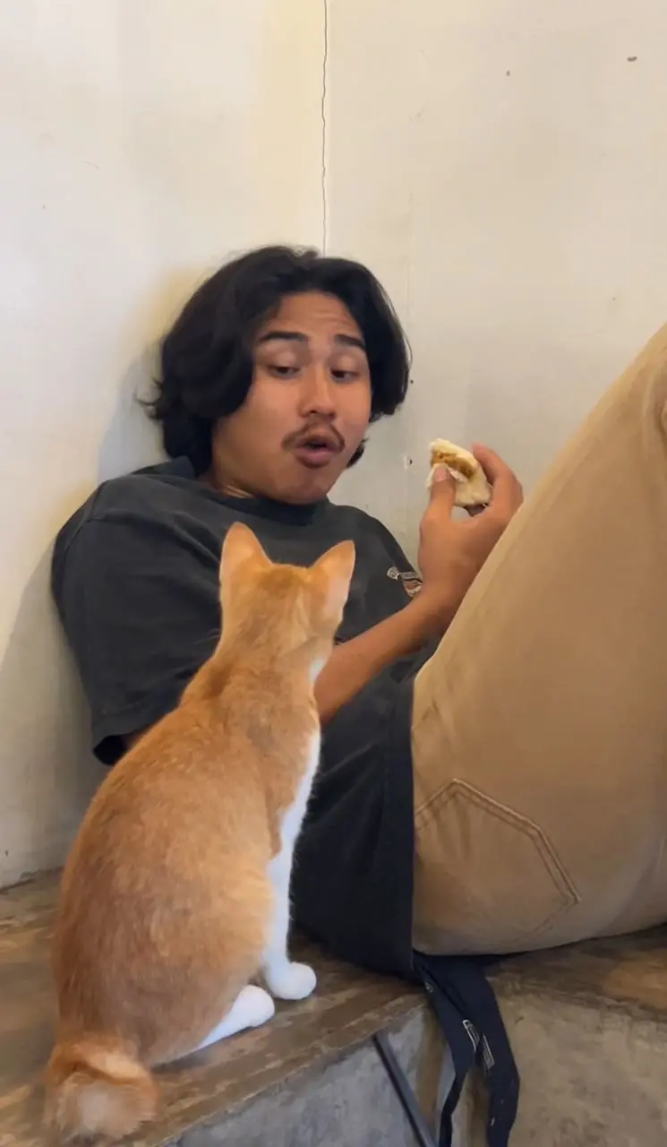 man eating bun while oyen staring at him