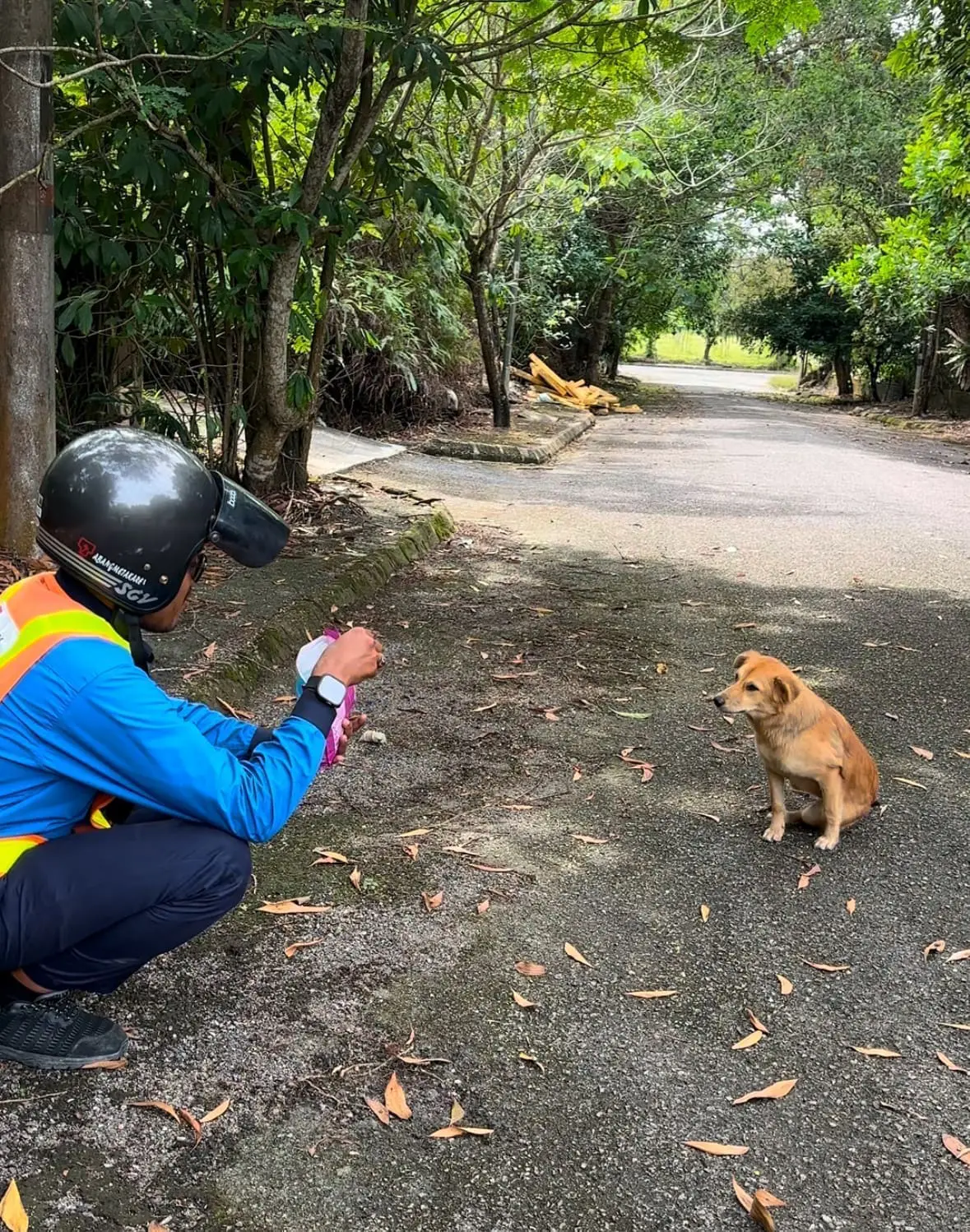 man feeds stray dog