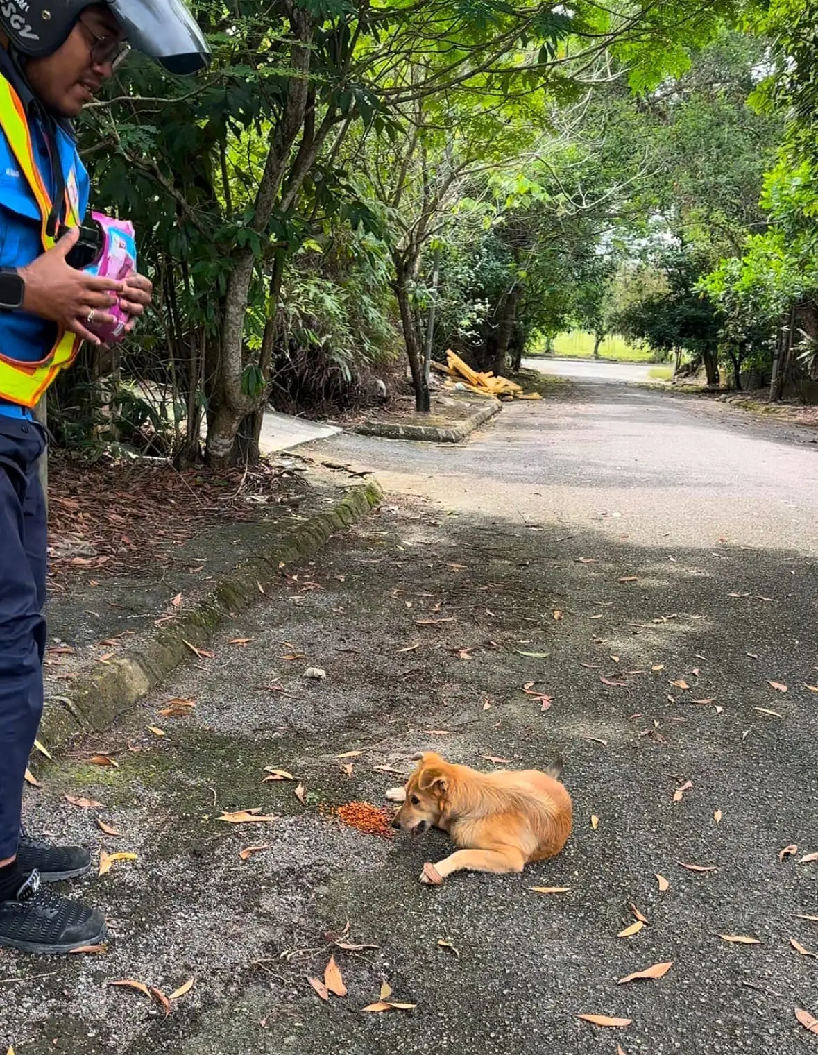 man feeds stray dog