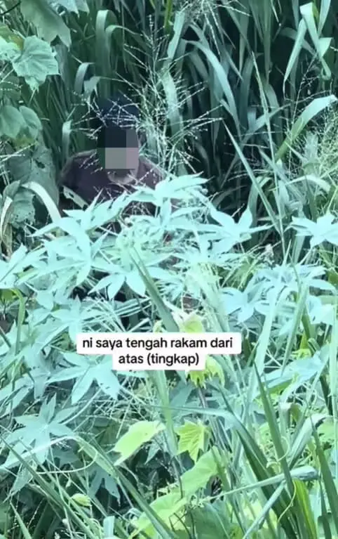 Man hides within the bushes near M'sian woman's home