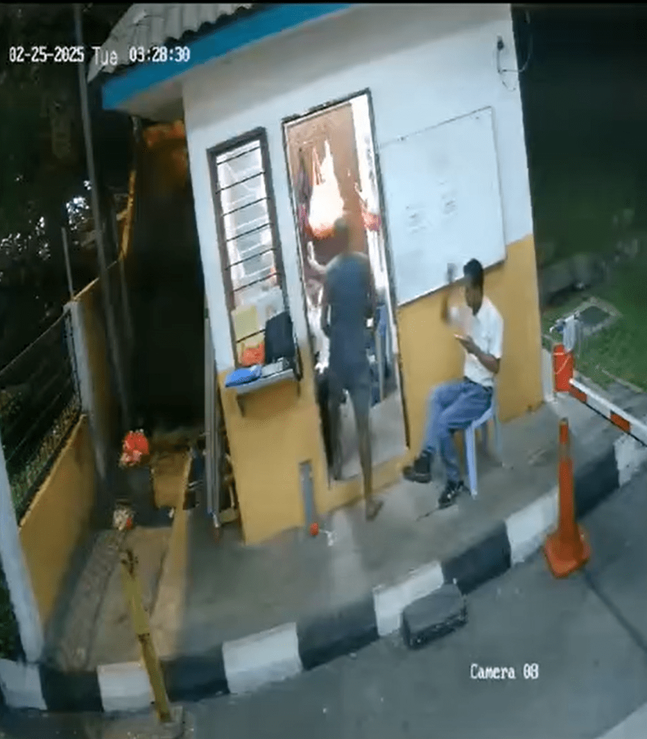 Man punches female security guard