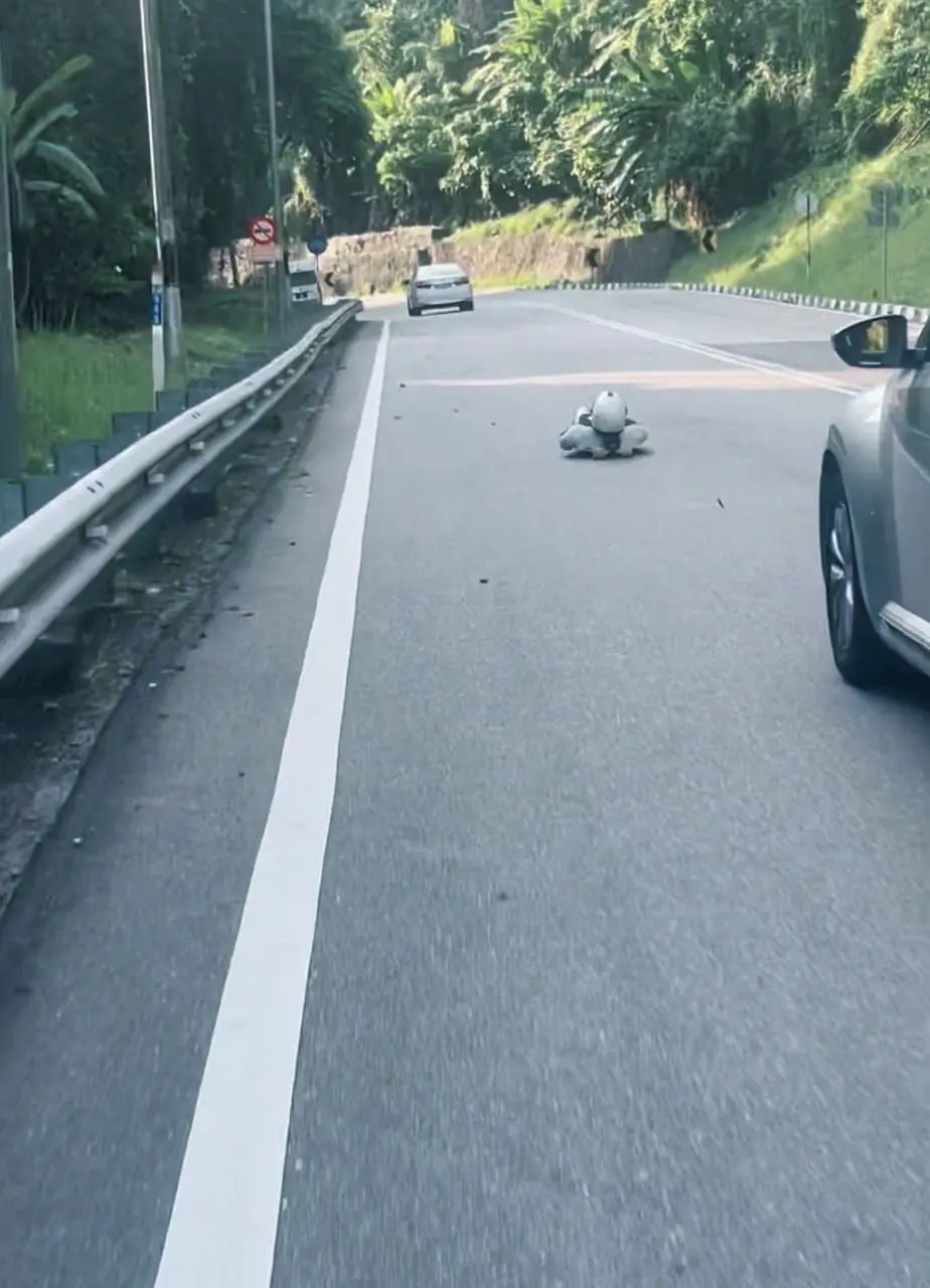man riding street luge at penang