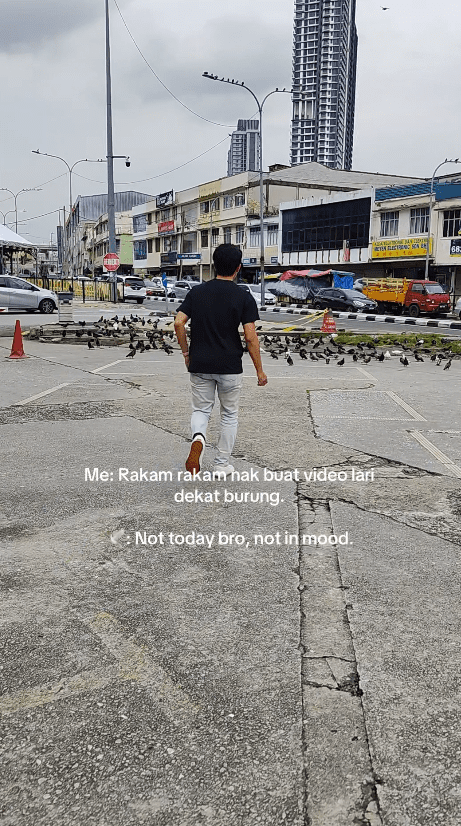man running towards a bunch of birds