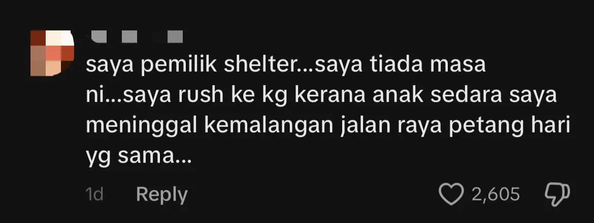 M'sian Man Bravely Risks Life To Save Cats Caught In Fire At Johor Cat Shelter comment 2