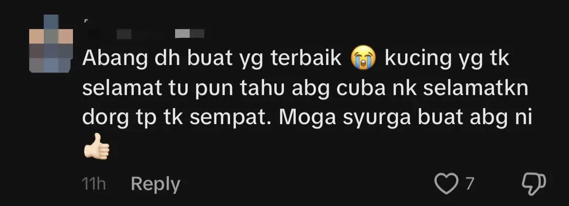 M'sian Man Bravely Risks Life To Save Cats Caught In Fire At Johor Cat Shelter comment 3