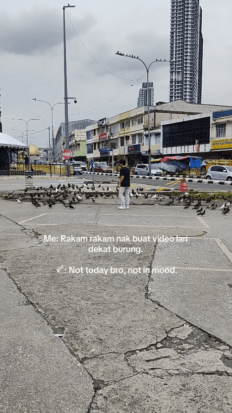 man standing in between a flock of birds 