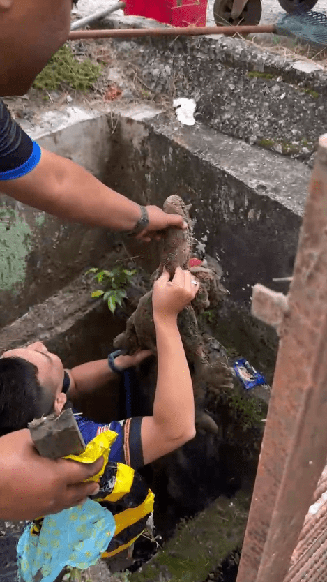 man taking out crocodile plushy out of the drain