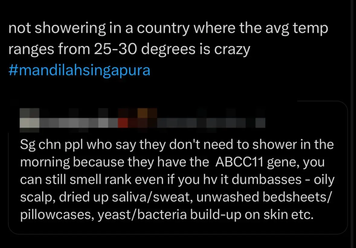 mandilah singapura comment