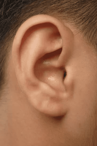 Man's ear