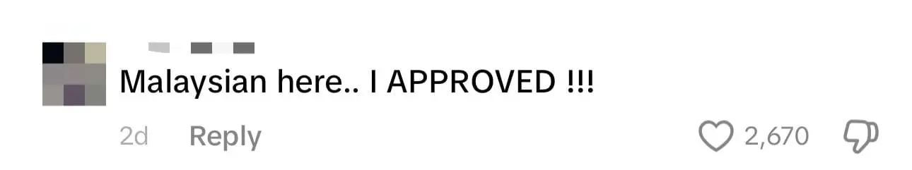 Mat Salleh’s Nasi Goreng Wins Netizens' Hearts After Video Goes Viral comment 1