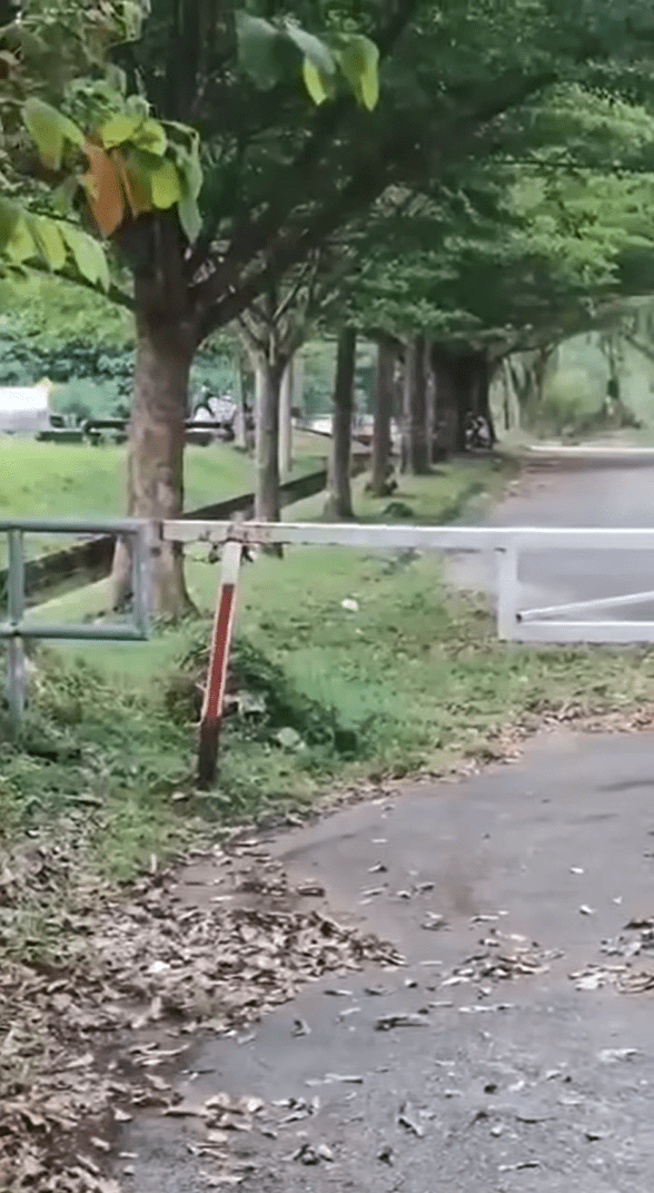 Men stealing cables in Ipoh