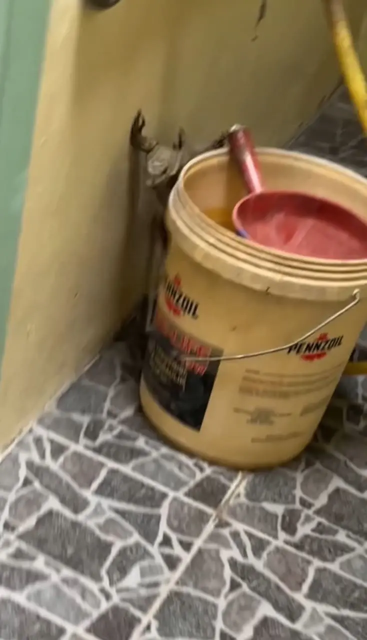 monitor lizard behind paint box