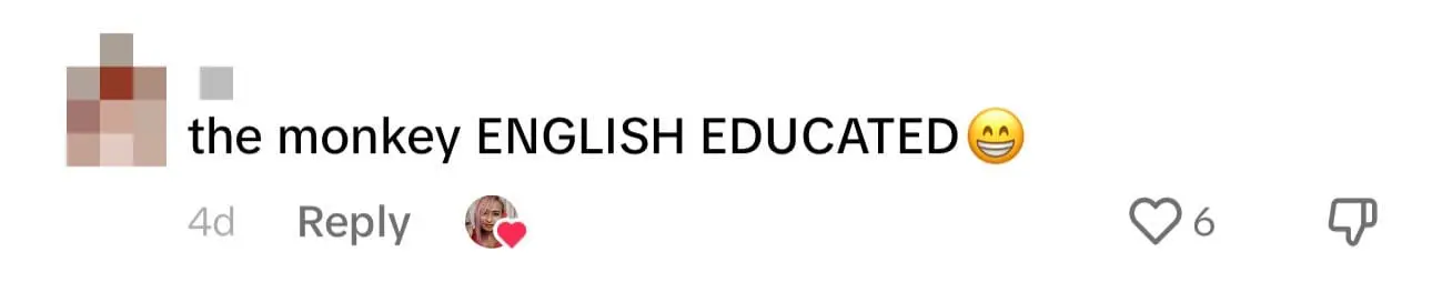 Monkey Peacefully Joins A Picnic And Enjoys The Food On The Mat comment 1