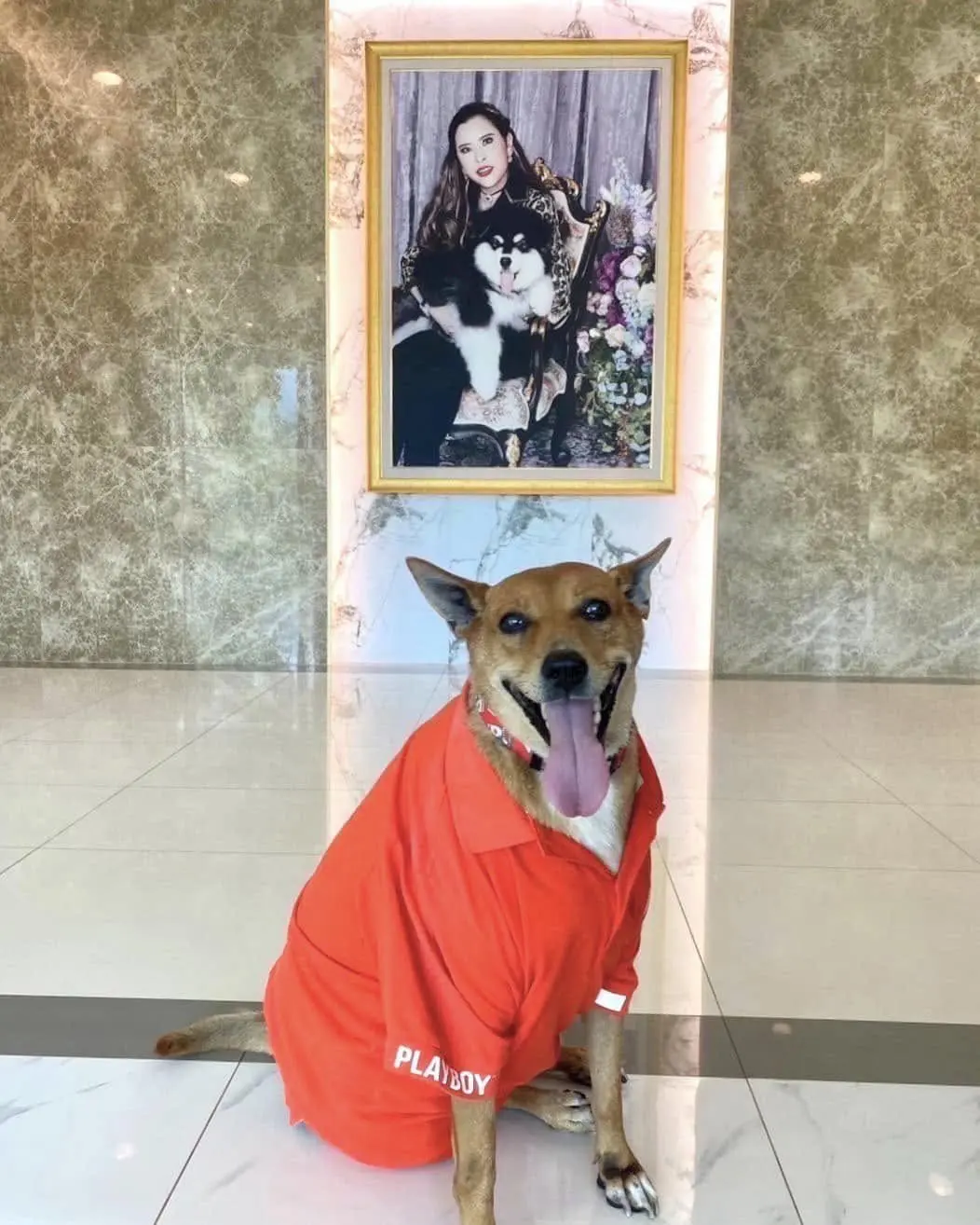 Moo Daeng adopted by Thai princess