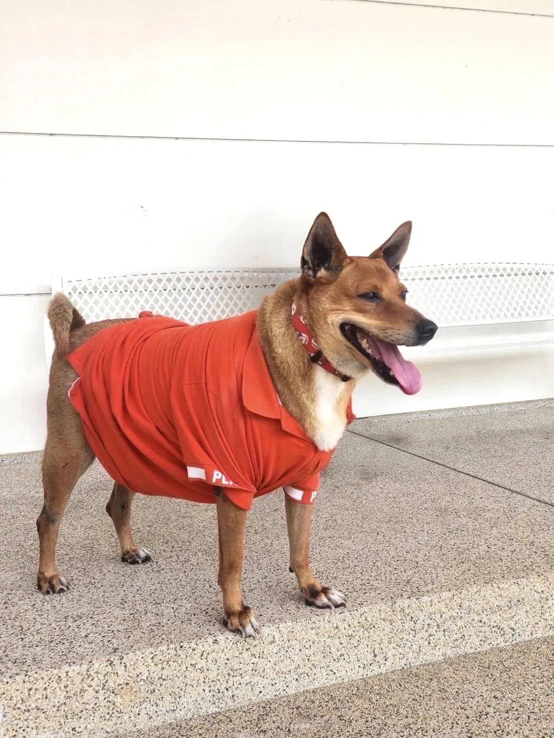 Moo Daeng in red shirt