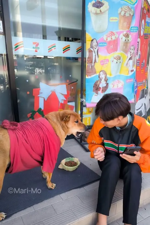 moo daeng stray dog with 7 eleven staff