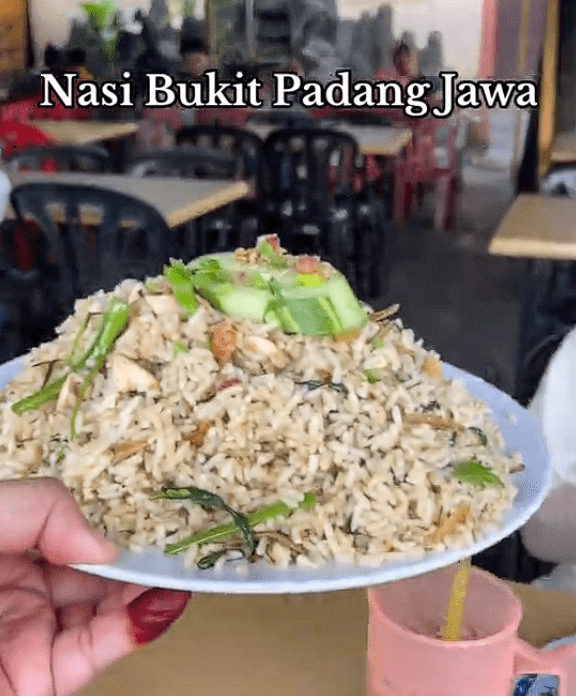 Mountain like fried rice Screenshot 2025-01-01 124928 (2)